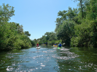 Illustration for article titled I Kayaked the Part of the Los Angeles River That Actually Looks Like a River